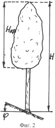 Способ анализа формы комля дерева (патент 2529167)