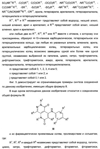 Гетероциклические ингибиторы мек и способы их применения (патент 2351593)