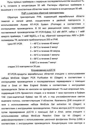 Nogo-a-нейтрализующие иммуноглобулины для лечения неврологических заболеваний (патент 2362780)