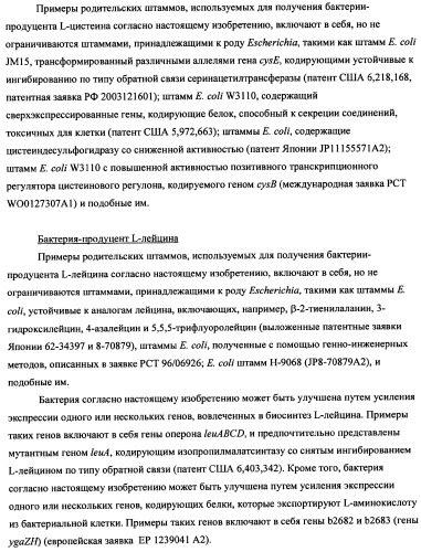 Способ получения l-треонина с использованием бактерии, принадлежащей к роду escherichia (патент 2338783)