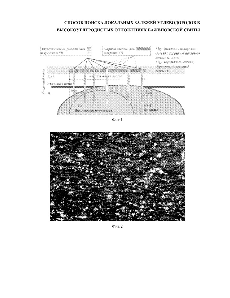 Способ поиска локальных залежей углеводородов в высокоуглеродистых отложениях баженовской свиты (патент 2650852)