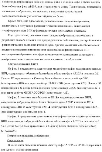 Вирусоподобные частицы, включающие гибридный белок белка оболочки бактериофага ар205 и антигенного полипептида (патент 2409667)