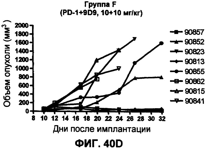 Моноклональные антитела человека к белку программируемой смерти 1 (pd-1) и способы лечения рака с использованием анти-pd-1-антител самостоятельно или в комбинации с другими иммунотерапевтическими средствами (патент 2406760)