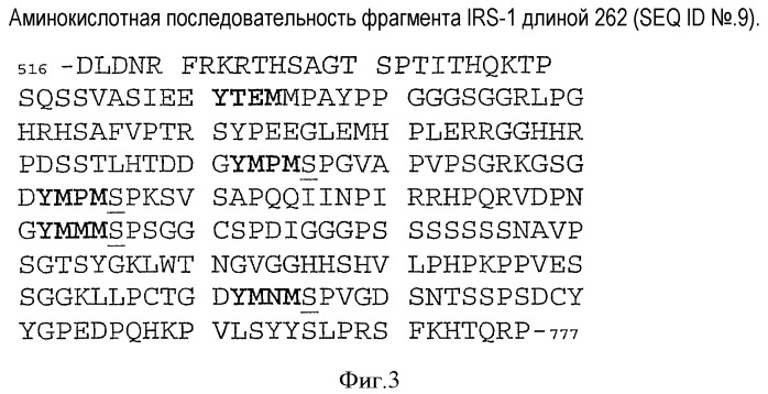 Применение биотинилированного полипептида для определения активности белок-фосфорилирующих ферментов (патент 2395813)