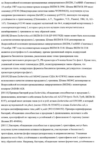 Использование фосфокетолазы для продукции полезных метаболитов (патент 2322496)