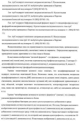 Способ придания бактерии, принадлежащей к роду methylophilus, ауксотрофности по l-аминокислоте, бактерия, принадлежащая к роду methylophilus, и способ продукции l-аминокислоты (патент 2395569)