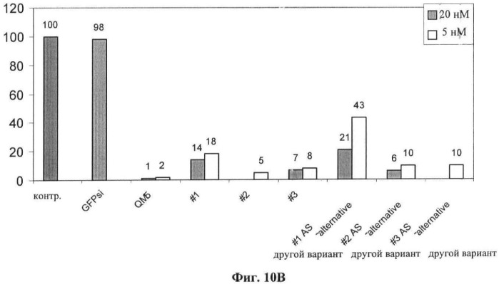 Новые структуры малых интерферирующих рнк (sirna) (патент 2487716)