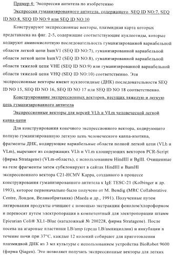 Терапевтические связывающие молекулы в виде химерного антитела (патент 2405790)