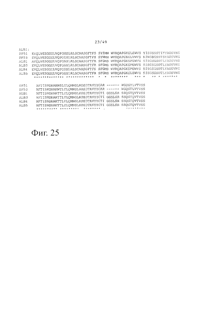 Улучшенные нанотела против сывороточного альбумина человека (патент 2634381)