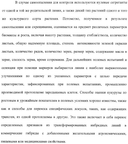 Растения с повышенной урожайностью и способ их получения (патент 2377306)