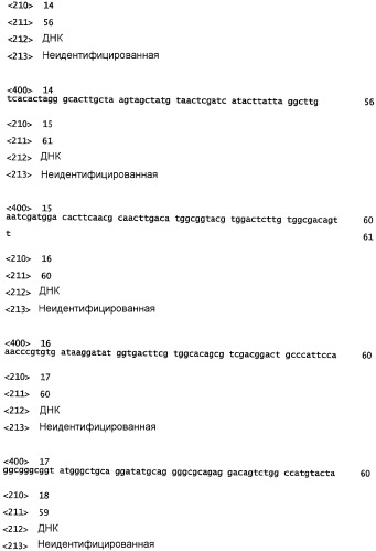 Аптамеры на основе днк для катепсина g человека (патент 2360000)