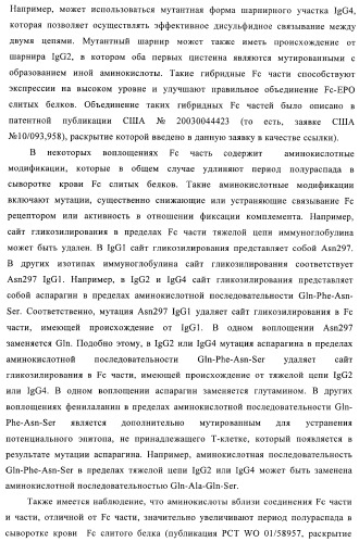 Fc-эритропоэтин слитый белок с улучшенной фармакокинетикой (патент 2370276)