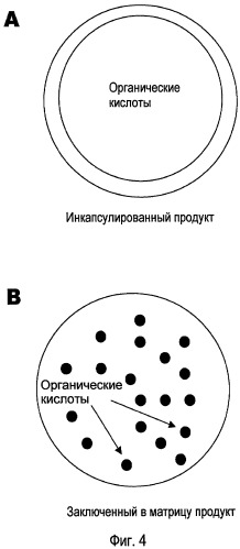 Заключенные в матрицу композиции, содержащие органические кислоты и жирные кислоты (патент 2443120)