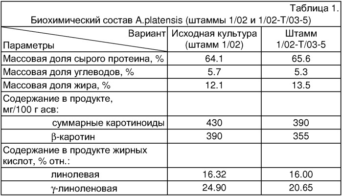 Штамм arthrospira platensis (nordst.) geitl. 1/02-t/03-5 - продуцент белковой биомассы (патент 2322489)