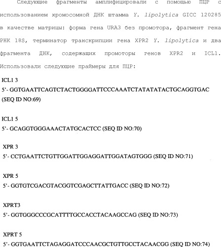 Полимеры изопрена из возобновляемых источников (патент 2505605)