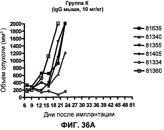 Моноклональные антитела человека к белку программируемой смерти 1 (pd-1) и способы лечения рака с использованием анти-pd-1-антител самостоятельно или в комбинации с другими иммунотерапевтическими средствами (патент 2494107)