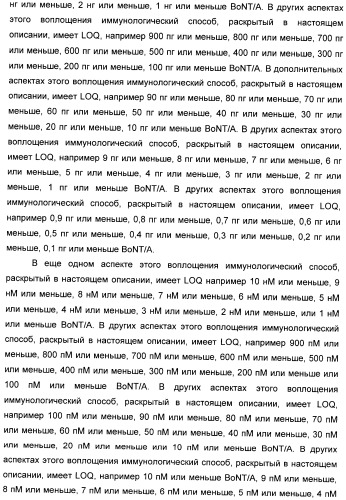 Иммунологические анализы активности ботулинического токсина серотипа а (патент 2491293)