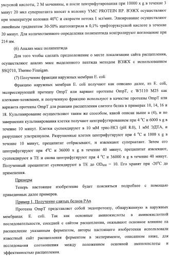 Способ расщепления полипептидов с использованием варианта протеазы оmpт (патент 2395582)