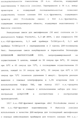 Клетка-хозяин trichoderma reesei для получения целлюлолитической белковой композиции, целлюлолитическая белковая композиция, способы ее получения и применения (патент 2494146)