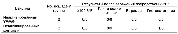 Инактивированные химерные вакцины и связанные с ними способы применения (патент 2436591)