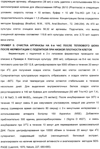 Фармацевтический препарат и способ лечения злокачественных опухолей у человека с помощью аргининовой депривации (патент 2335539)