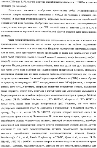 Моноклональные антитела против nkg2a (патент 2481356)