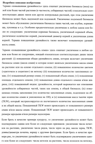 Растения, имеющие улучшенные характеристики роста, и способы их получения (патент 2463352)