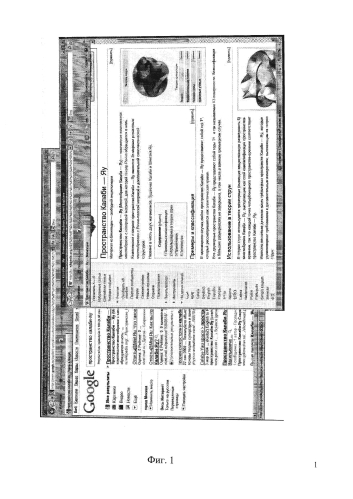 Система интерактивного поиска и отображения информации (патент 2576468)