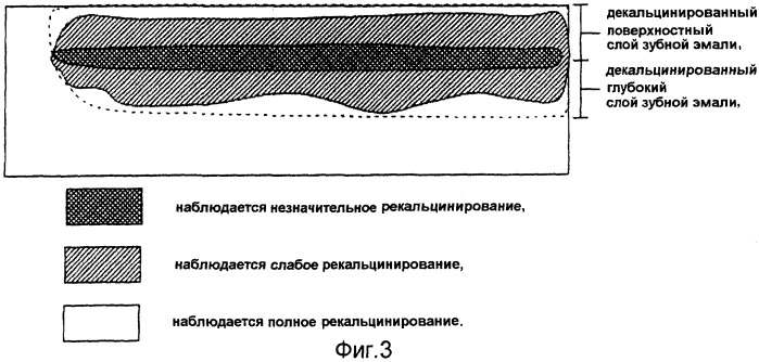 Ускоритель рекальцинирования зубной эмали, композиция для ухода за полостью рта и содержащие его пищевой продукт или напиток (патент 2396969)