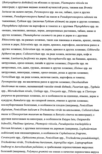 N-алкинил-2-(замещенные арилокси)-алкилтиоамидные производные как фунгициды (патент 2352559)