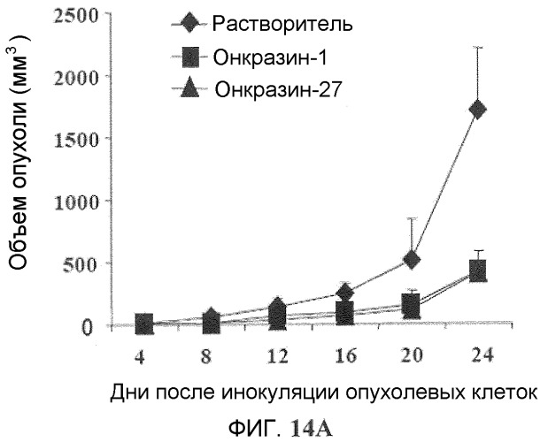 Онкогенное ras-специфичное цитотоксическое соединение и способы его применения (патент 2448703)