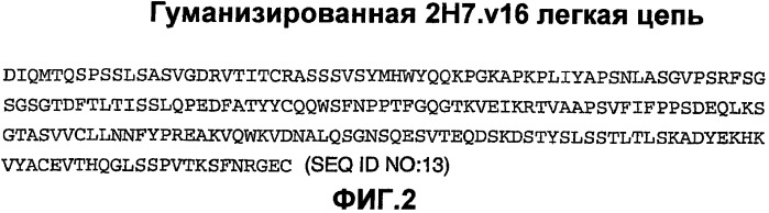 Способ лечения волчанки (патент 2396980)