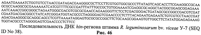 Способ идентификации и дифференциации прокариотических организмов (патент 2486251)