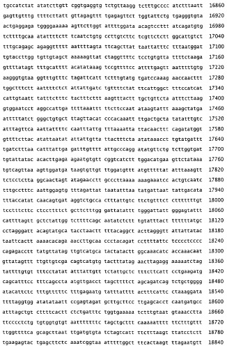 Применение s1p (патент 2362565)