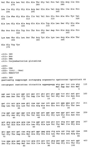 Гены corynebacterium glutamicum, кодирующие белки, участвующие в метаболизме углерода и продуцировании энергии (патент 2321634)