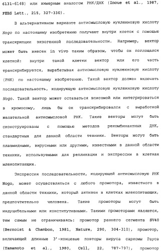 Поликлональное антитело против nogo, фармацевтическая композиция и применение антитела для изготовления лекарственного средства (патент 2432364)