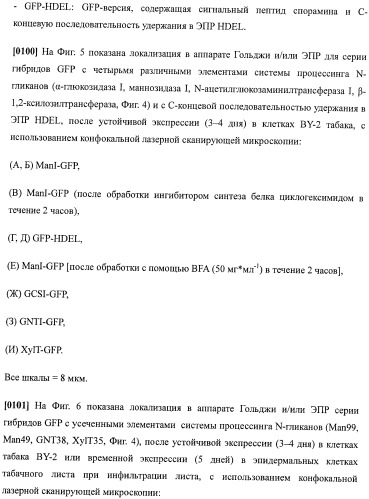 Набор последовательностей для таргетинга экспрессии и контроля посттрансляционных модификаций рекомбинантного полипептида (патент 2481399)