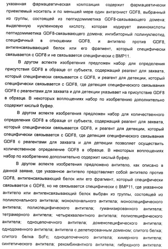 Антитела к gdf8 и их применения (патент 2447084)