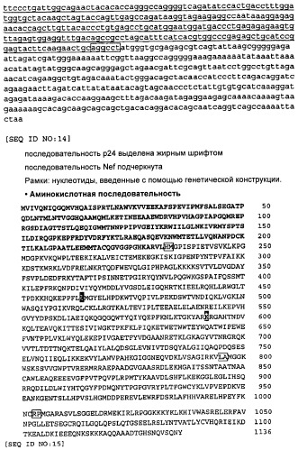 Вакцина для предупреждения и лечения вич-инфекции (патент 2441878)