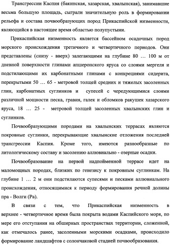 Способ прогнозирования семенной продуктивности солодки голой и солодки уральской сухостепного, лиманного и пойменного экотипов (патент 2360403)