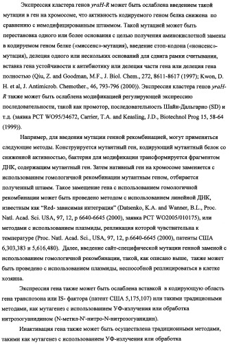Способ получения l-треонина с использованием бактерии, принадлежащей к роду escherichia, в которой инактивирован кластер генов yrah-r (патент 2337962)