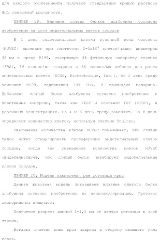 Слитые белки альбумина (патент 2369404)