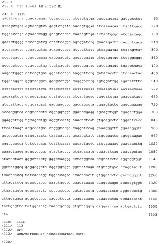 Pscaxcd3, cd19xcd3, c-metxcd3, эндосиалинxcd3, epcamxcd3, igf-1rxcd3 или fap-альфаxcd3 биспецифическое одноцепочечное антитело с межвидовой специфичностью (патент 2547600)