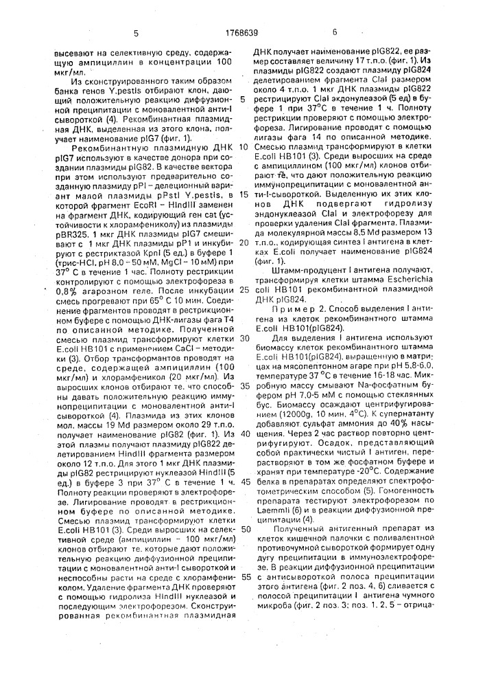 Рекомбинантная плазмидная днк pj g824, кодирующая j-антиген чумного микроба, способ ее конструирования и штамм бактерий еsснеriснiа coli - продуцент j-антигена чумного микроба (патент 1768639)