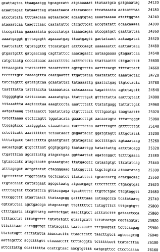 Бактериофаг, обладающий активностью против pseudomonas aeruginosa, белки бактериофага и способы их применения (патент 2580248)