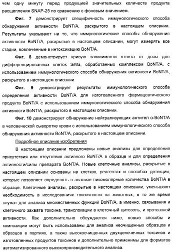 Иммунологические анализы активности ботулинического токсина серотипа а (патент 2491293)