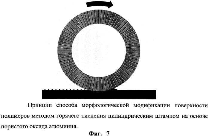 Штамп для морфологической модификации полимеров, споособ его получения и способ формирования супергидрофильных и супергидрофобных самоочищающихся покрытий с его использованием (патент 2550871)