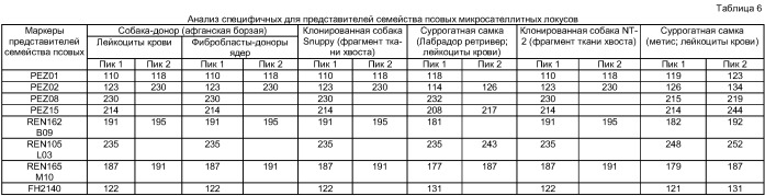 Способ получения клонированного представителя семейства псовых (патент 2391817)