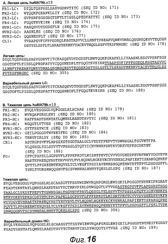 Анти-cd79b антитела и иммуноконъюгаты и способы их применения (патент 2511410)