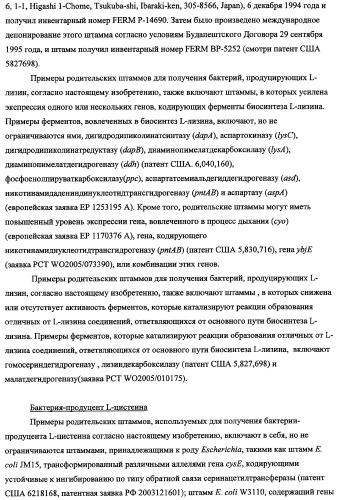 Способ получения l-треонина с использованием бактерии, принадлежащей к роду escherichia, в которой инактивирован оперон rspab (патент 2337961)